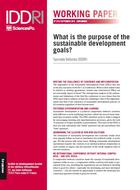 À quoi servent les objectifs de développement durable ?