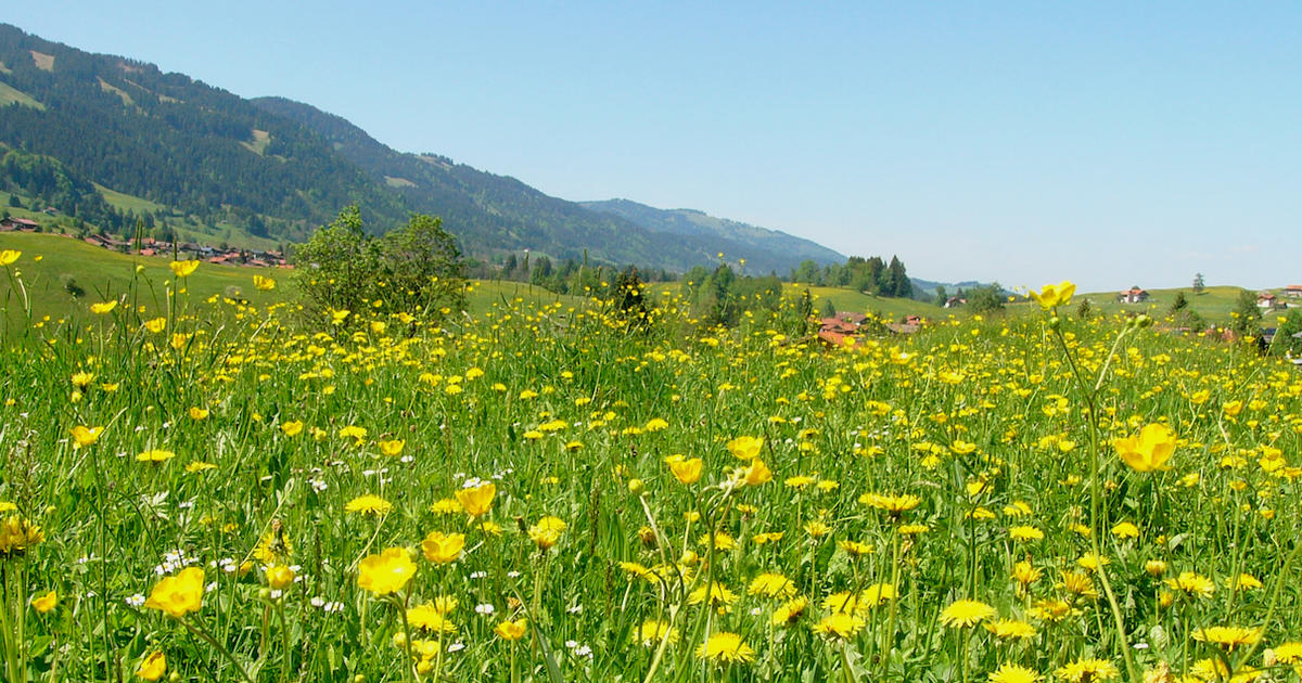 EU Biodiversity Strategy the importance of permanent grasslands, in line with the Farm to Fork