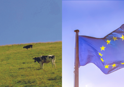 Should we (already) be thinking about the next reform of the Common Agricultural Policy?