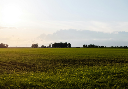 Quelle politique agricole commune pour 2028-2034 ?