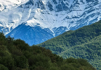 L’agenda mondial pour la biodiversité est-il dans une impasse ?