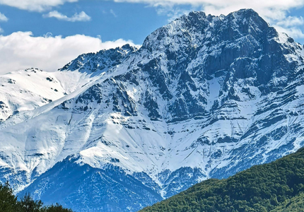COP 17 biodiversité : comment accélérer dans un monde fragmenté ?