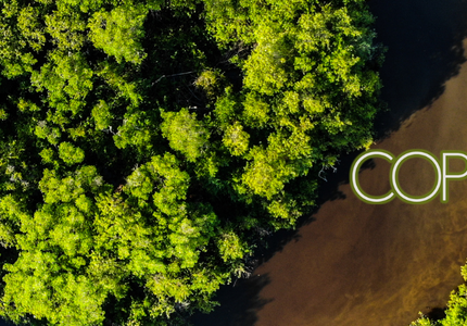 Ce que la COP 30 devrait accomplir