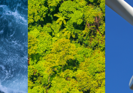 Climate and biodiversity: coordinating ambitions and concrete strategies for transformation