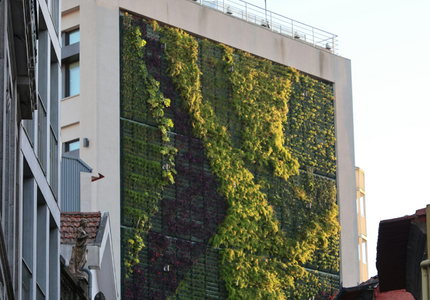 Gouvernance internationale de l’environnement en 2026 : quels impacts et quels rôles pour les entreprises ?