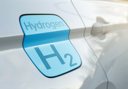 What role in the transition for a Trans-European hydrogen network?