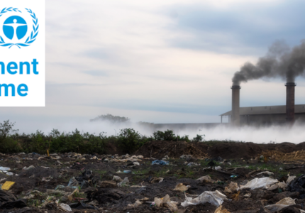 Chemicals, waste and pollution: the birth of a new science/policy interface