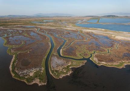 How can the Kunming-Montreal agreement enhance the protection of Mediterranean wetlands?