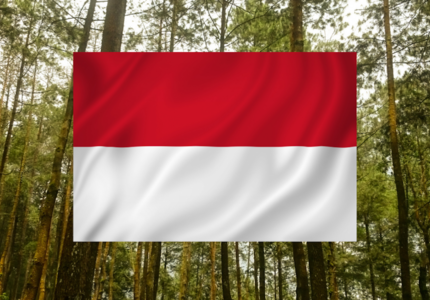 L'indonésie propose une stratégie de long terme zéro émission nette