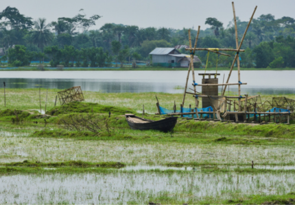 Transboundary climate risks and adaptation: the example of coastal migration 