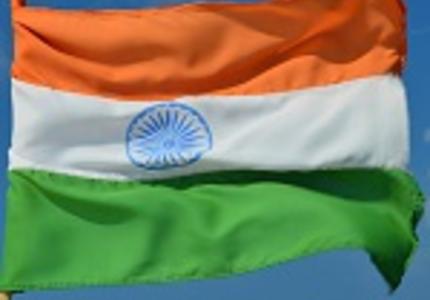 Argumentative Indians? Understanding India at the Paris COP21
