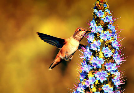 IPBES: politically relevant? Let's try it!