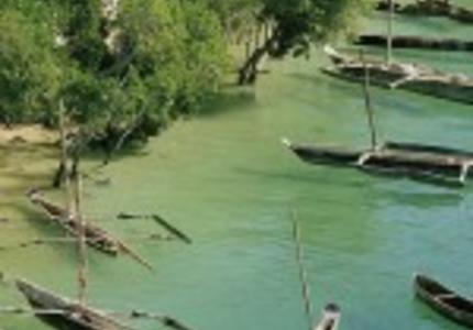 La communauté océan se mobilise en vue de la COP21