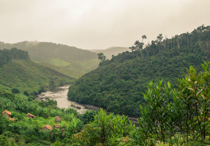 REDD+ project performance: predicting the worst and promising the best?